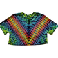 Women's Rainbow Crop Top