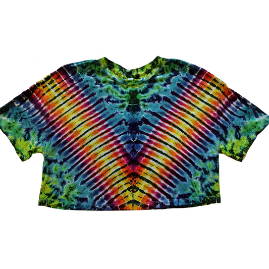 Women's Rainbow Crop Top