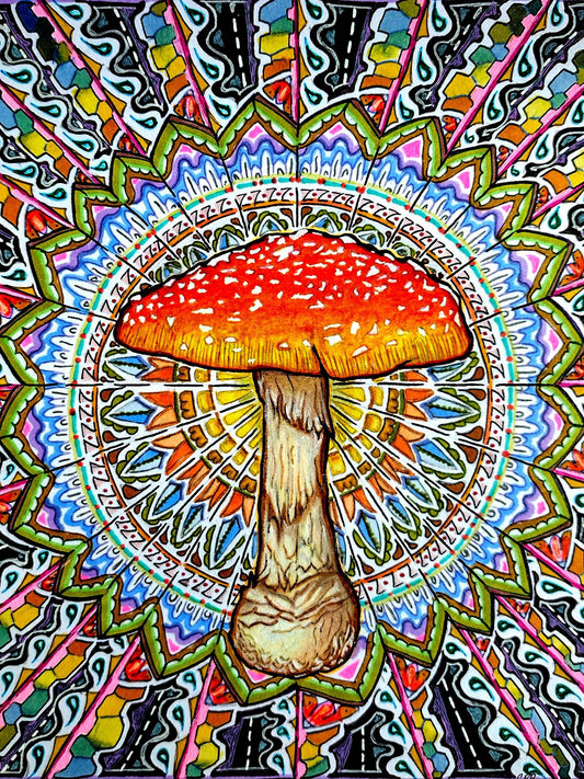 Amanita Poster Print