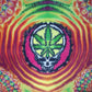 Steal Your Weed Poster Print